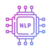 Natural Language Processing (NLP)