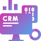 Custom CRM Systems