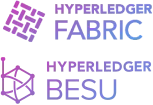 Fabric + Besu Icon