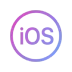iOS Native Development
