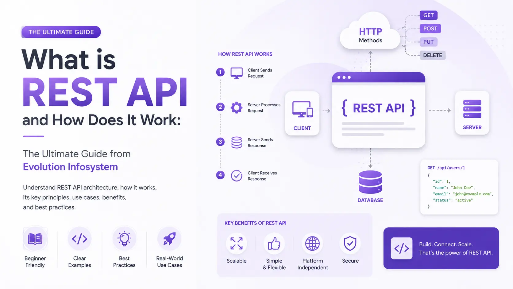 What is REST API and How Does It Work: The Ultimate Guide from Evolution Infosystem cover